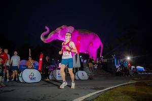 BIB: 
                            <button type="button" onclick="openModal(26551769)" class="btn btn-primary btn-sm float-right btn-popup" data-toggle="modal" data-target=".modal-high-quality">
                        <i class="fas fa-shopping-cart"></i> Add to Cart
                    </button>
                                            <button type="button" onclick="isThisMe(26551769, true)" class="btn btn-success btn-sm float-right btn-popup btn-isme hidden" data-toggle="tooltip" data-placement="bottom" title="นี่คือรูปของคุณใช่ไหม คลิกที่นี่เพื่อเอาเข้าอัลบั้ม">
                        <i class="fas fa-plus"></i> Add to album
                    </button>
                    <button type="button" onclick="isThisMe(26551769, false)" class="btn btn-warning btn-sm float-right btn-popup btn-isnotme hidden">
                        <i class="fas fa-ban"></i> Remove from album
                    </button>